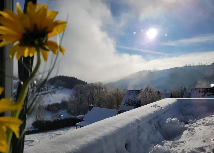 Panoramablick Ferienwohnung Luge Winterberg Sauerland