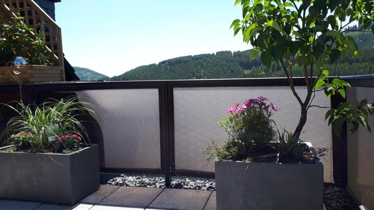 Panoramablick Luge Sauerland