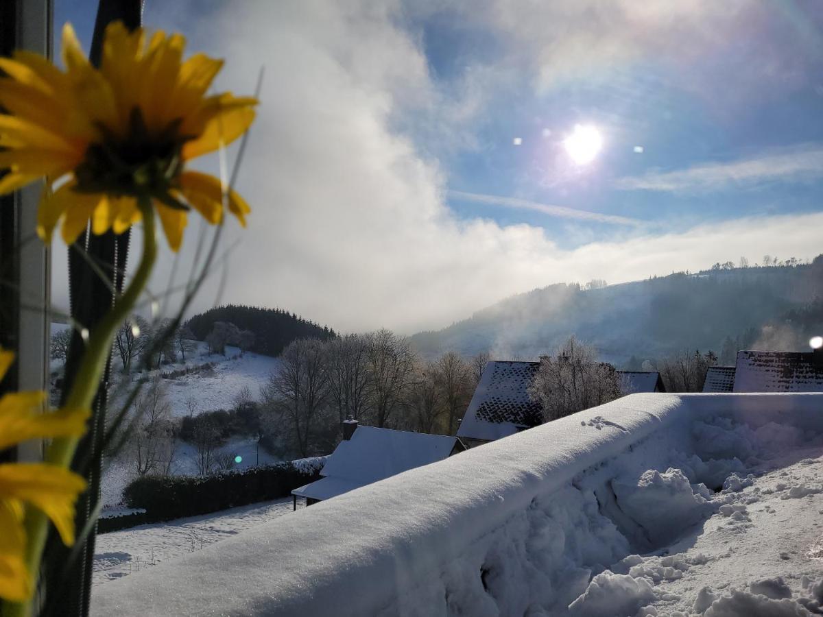 Panoramablick Luge Sauerland